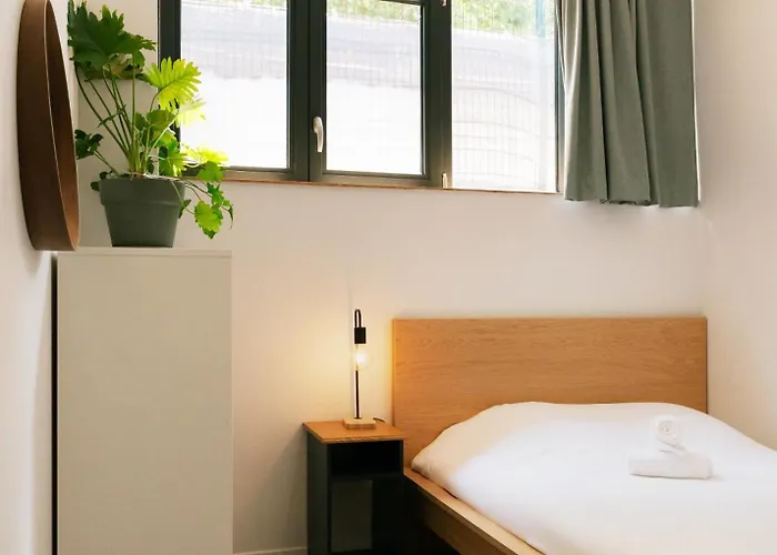 Hostel Yasi *